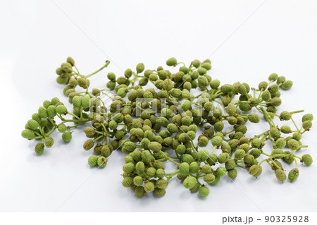 実さんしょう 実さんしょう 90325928