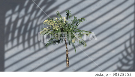 Image of palm tree over leaves and window shadow on grey background Image of palm tree over leaves and window shadow on grey background 90328552