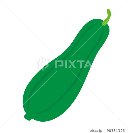 シンプルで可愛いへちまのイラスト　白背景　ベクター　クリップアート 90331396