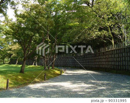 bamboo fence in japanese garden / 日本庭園の竹垣(生垣) ＠京都 90331995
