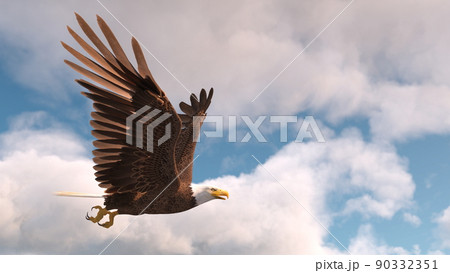 白頭鷲 白頭鷲 90332351