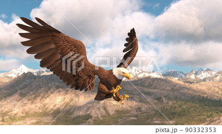 白頭鷲 白頭鷲 90332353