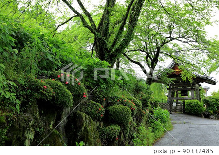 池田山山麓散策(阿梨耶山弓削寺)・1(岐阜県揖斐郡池田町) 池田山山麓散策(阿梨耶山弓削寺)・1(岐阜県揖斐郡池田町) 90332485
