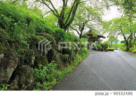 池田山山麓散策(阿梨耶山弓削寺)・2(岐阜県揖斐郡池田町) 池田山山麓散策(阿梨耶山弓削寺)・2(岐阜県揖斐郡池田町) 90332486