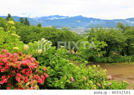 池田山山麓散策（阿梨耶山弓削寺）・17（岐阜県揖斐郡池田町） 90332501