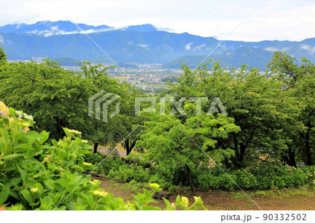 池田山山麓散策(阿梨耶山弓削寺)・18(岐阜県揖斐郡池田町) 池田山山麓散策(阿梨耶山弓削寺)・18(岐阜県揖斐郡池田町) 90332502