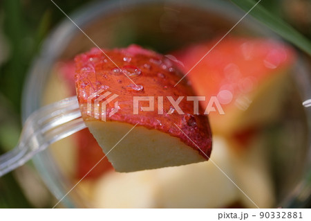 青森県のりんごあめ（青森県）カット 90332881