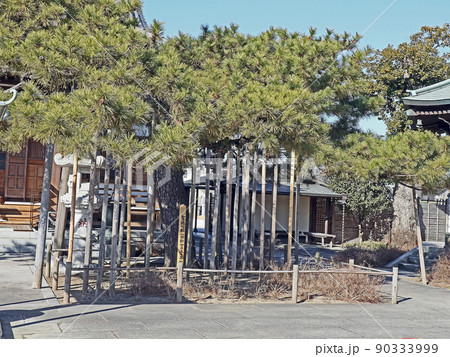 南蔵院（葛飾） 90333999