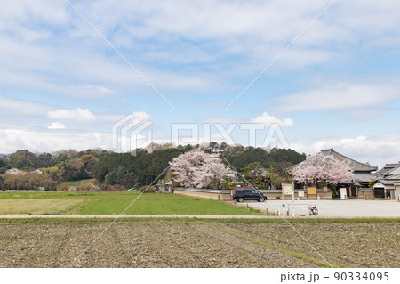 春本番の飛鳥寺と甘樫丘 春本番の飛鳥寺と甘樫丘 90334095