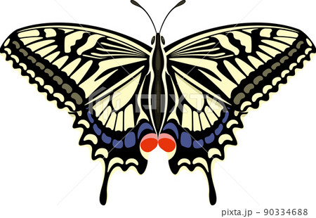 美しい羽を広げたアゲハチョウ 蝶々のイラスト素材 [90334688] - PIXTA