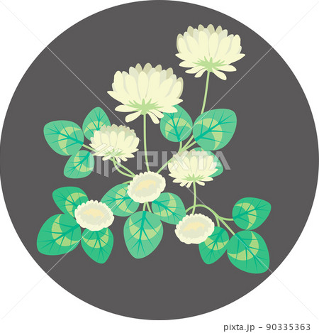 シロツメクサ 白詰草 春 夏 花 植物 シンプル かわいい ベクター イラスト素材のイラスト素材