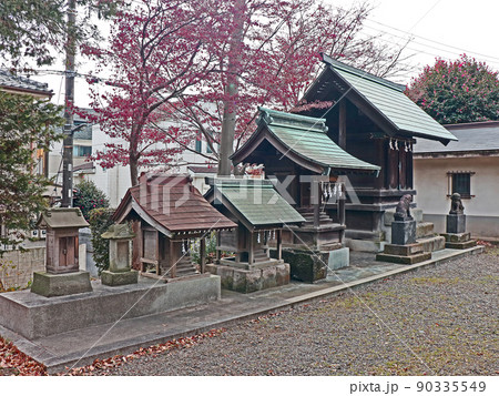 赤塚氷川神社（板橋） 90335549