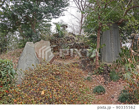 赤塚氷川神社（板橋） 90335562
