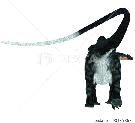 ブロントサウルス☆アパトサウルス☆Apatosaurus ブロントサウルス☆アパトサウルス☆Apatosaurus 90335867
