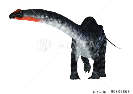 ブロントサウルス☆アパトサウルス☆Apatosaurus ブロントサウルス☆アパトサウルス☆Apatosaurus 90335868