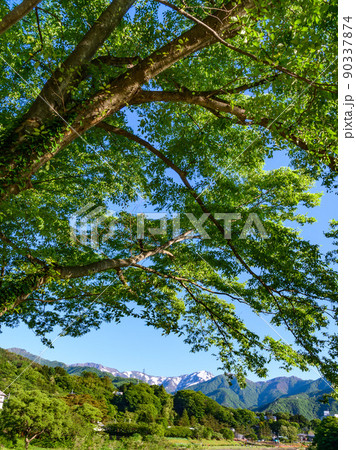 （群馬県）初夏の谷川連峰と新緑・水上八景 90337874