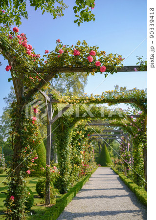 バラのトンネル （パリ、バガテル公園にて） 90339418