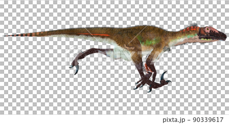 猶他盜龍 ☆ 猶他盜龍 90339617