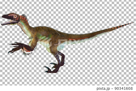 Utahraptor ☆ Utahraptor 90341608