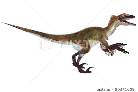 ユタラプトル☆Utahraptor ユタラプトル☆Utahraptor 90341609
