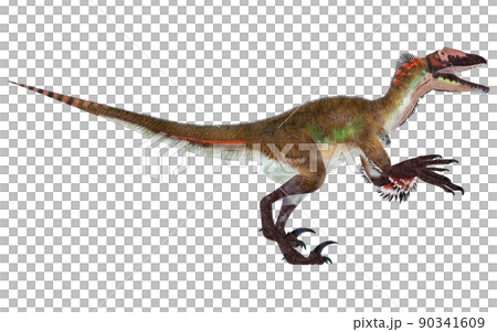 Utahraptor ☆ Utahraptor Utahraptor ☆ Utahraptor 90341609