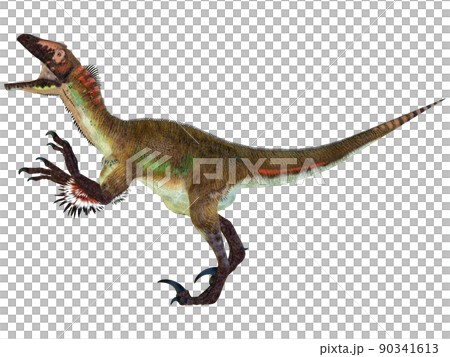 猶他盜龍 ☆ 猶他盜龍 猶他盜龍 ☆ 猶他盜龍 90341613