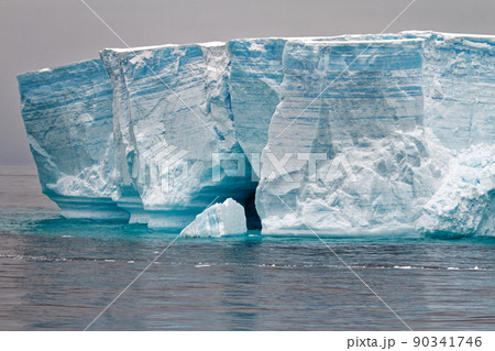 Antartica - Tabular Iceberg in Bransfield Strait 90341746
