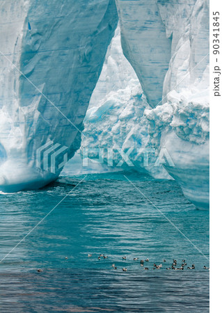 Antartica - Tabular Iceberg in Bransfield Strait Antartica - Tabular Iceberg in Bransfield Strait 90341845