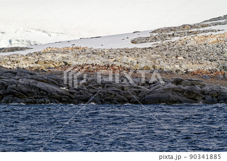 Cruising in Antarctica - Fairytale landscape Cruising in Antarctica - Fairytale landscape 90341885