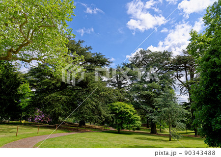 Garden inside of the Warwick Castle grounds - England Garden inside of the Warwick Castle grounds - England 90343488