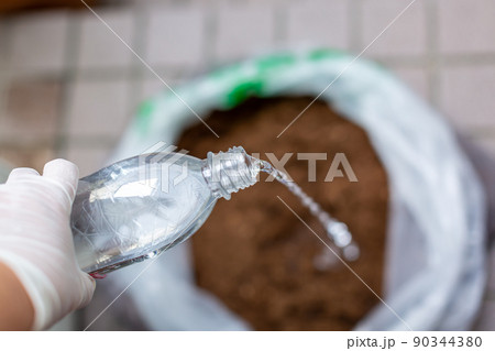 カブトムシの飼育　昆虫　マット交換 90344380