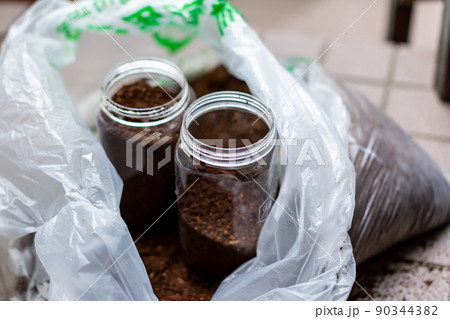 カブトムシの飼育 昆虫 マット交換 カブトムシの飼育 昆虫 マット交換 90344382