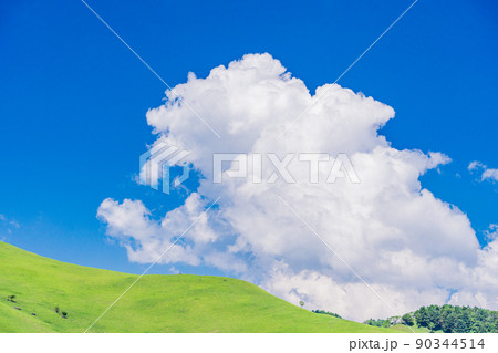 (長野県)青空と新緑の美ヶ原高原 (長野県)青空と新緑の美ヶ原高原 90344514