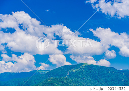 （長野県）青空と新緑の美ヶ原高原 90344522