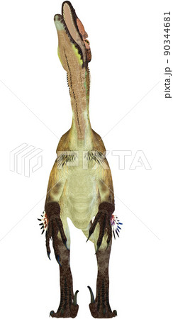 ユタラプトル☆Utahraptor 90344681