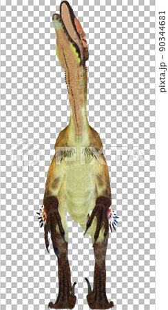 ユタラプトル☆Utahraptor 90344681