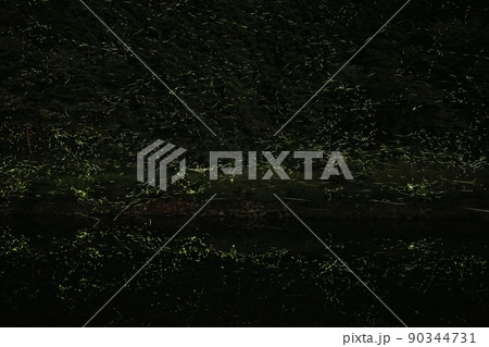 【夏イメージ】ホタルの乱舞 90344731