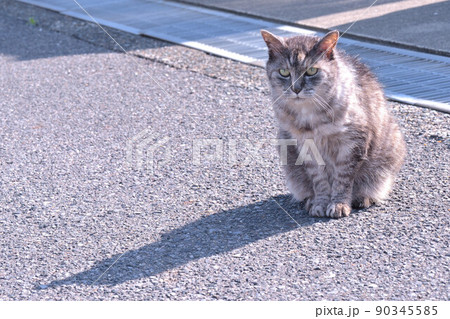 日時計 日時計 90345585