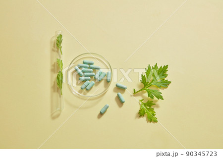 Mugwort decorated in petri dish with blue capsule in orange background for experiment advertising	 90345723