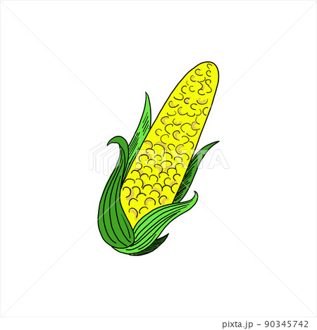 Corn. Colored simple doodle. Vector clipart of... - Stock Illustration  [90345742] - PIXTA