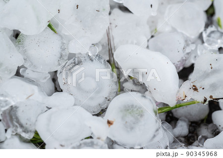 雹のズームアップ 雹のズームアップ 90345968