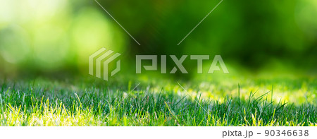 Nature bright summer sunlight background Nature bright summer sunlight background 90346638