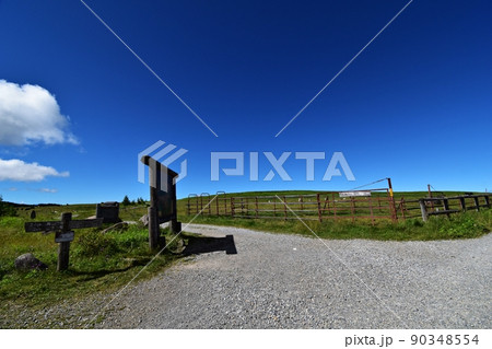 塩くれ場の分岐 夏の美ヶ原高原 塩くれ場の分岐 夏の美ヶ原高原 90348554