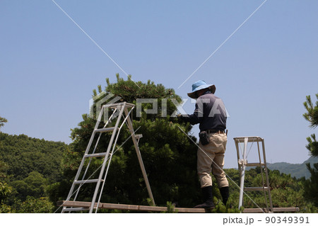 剪定する造園業の職人さん 剪定する造園業の職人さん 90349391