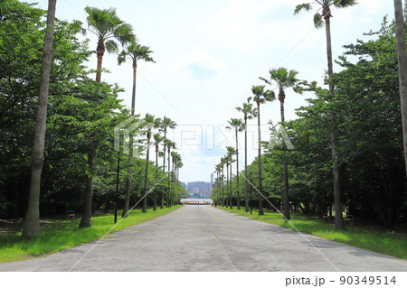 東京都立潮風公園　南中央口 90349514