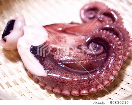 茹で蛸　タコ料理　マダコ 90350216