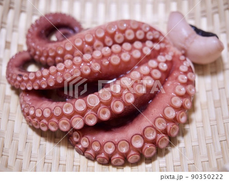 茹で蛸　タコ料理　マダコ 90350222