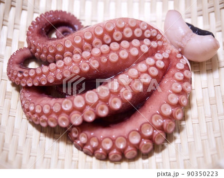 茹で蛸　タコ料理　マダコ 90350223