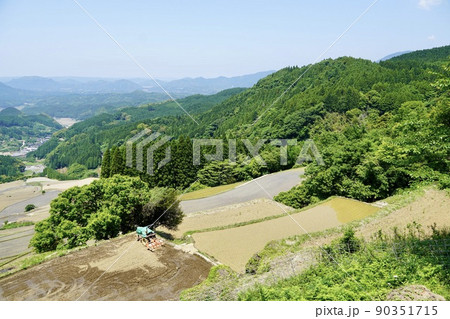 蕨野の棚田(太平展望所からの眺め・佐賀県) 蕨野の棚田(太平展望所からの眺め・佐賀県) 90351715
