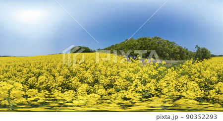 北海道 安平町の菜の花畑(360°VR素材) 北海道 安平町の菜の花畑(360°VR素材) 90352293